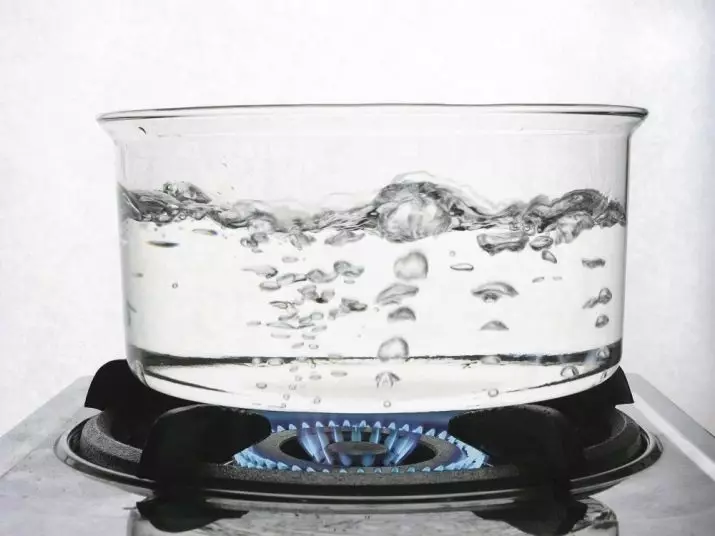 Woda do żelaza: możesz lub nie można wypełnić gorącą wodą destylowaną? 21813_7