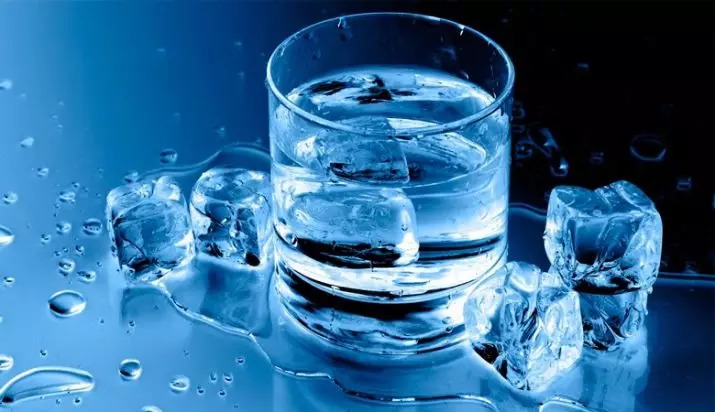 Vatten för järn: Du kan eller kan inte fyllas med varmt destillerat vatten? 21813_9