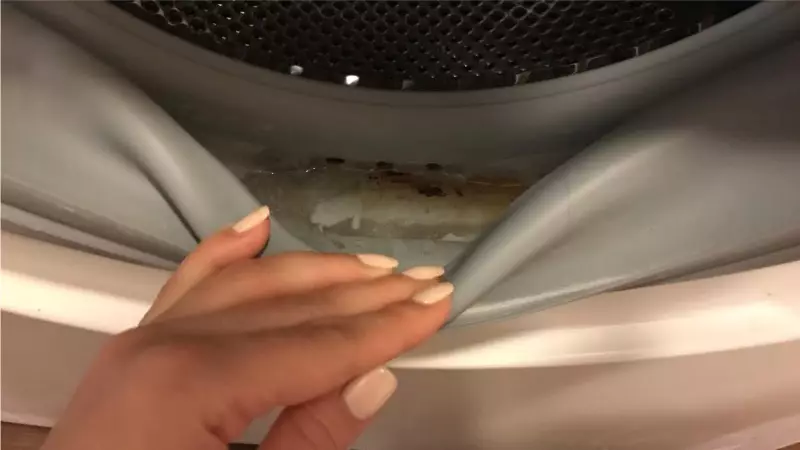 如何清洁洗衣机？ 39照片清洁机器从家里内的污垢，也比洗净口香糖和粉末托盘 21828_10