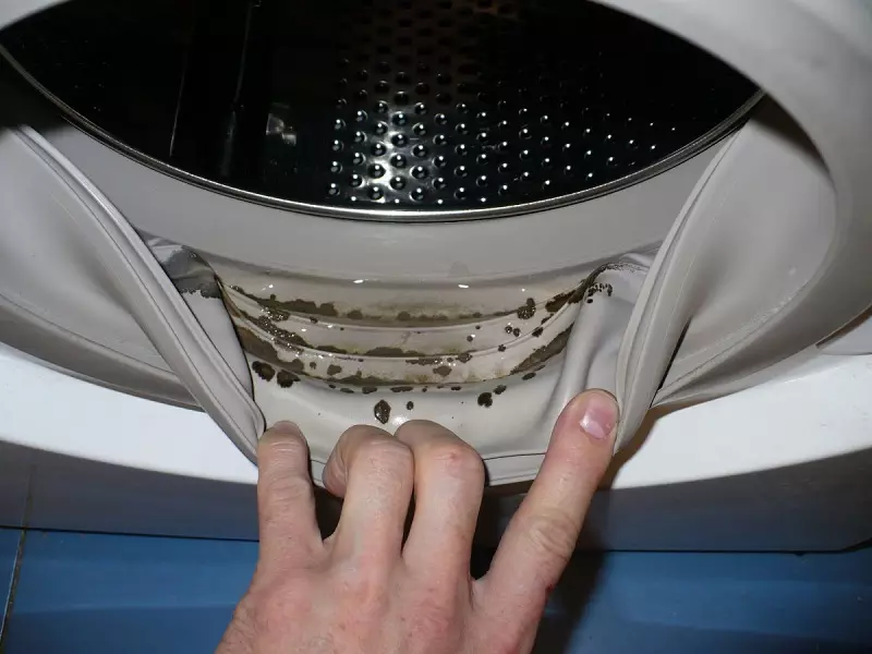 Was die Waschmaschine reinigen automatische von Geruch und Schmutz? 15 Foto Reinigen Sie das Auto zu Hause aus faulen Geruch und Schimmel 21829_10