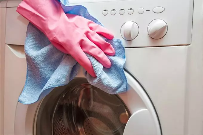 Mida puhastada pesumasinat lõhna ja mustuse automaatne? 15 Foto Puhastage auto kodus mäda lõhnast ja hallitusest 21829_11