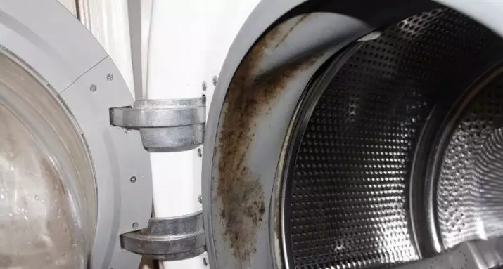Mit kell tisztítani a mosógép automatikus szagát és szennyeződését? 15 fotó Tisztítsa meg az autót otthon a rothadt szaga és a penész 21829_3