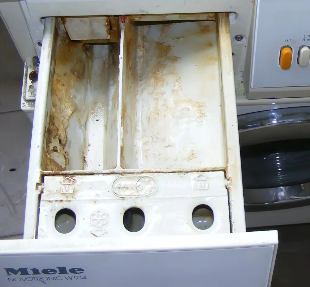 Vad ska man rengöra tvättmaskinen automatisk från lukt och smuts? 15 Foto Rengör bilen hemma från rått lukt och mögel 21829_8