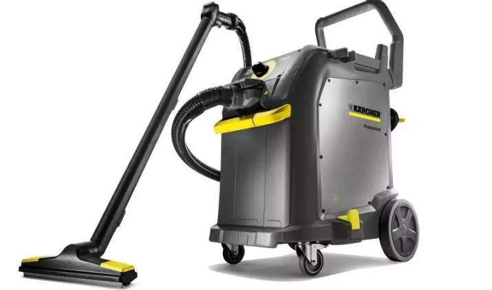 Karcher Steam Cleaner (47 fotos): ferros com gerador de vapor, vapores profissionais e manuais. Como usar o apartamento para limpeza? 21856_34