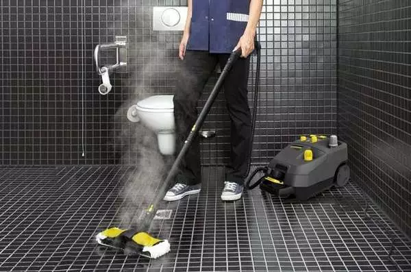 Karcher Steam Cleaner (47 fotot): triikrauad aurugeneraatori, professionaalsete ja manuaalsete aurutitega. Kuidas kasutada korterit puhastamiseks? 21856_8