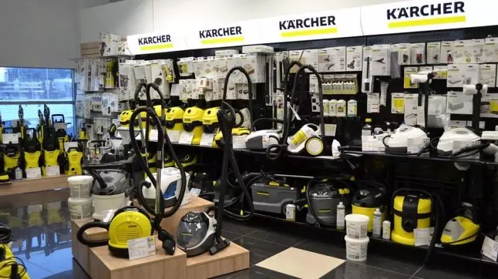 Karcher Steam Cleaner (47 fotos): ferros com gerador de vapor, vapores profissionais e manuais. Como usar o apartamento para limpeza? 21856_9