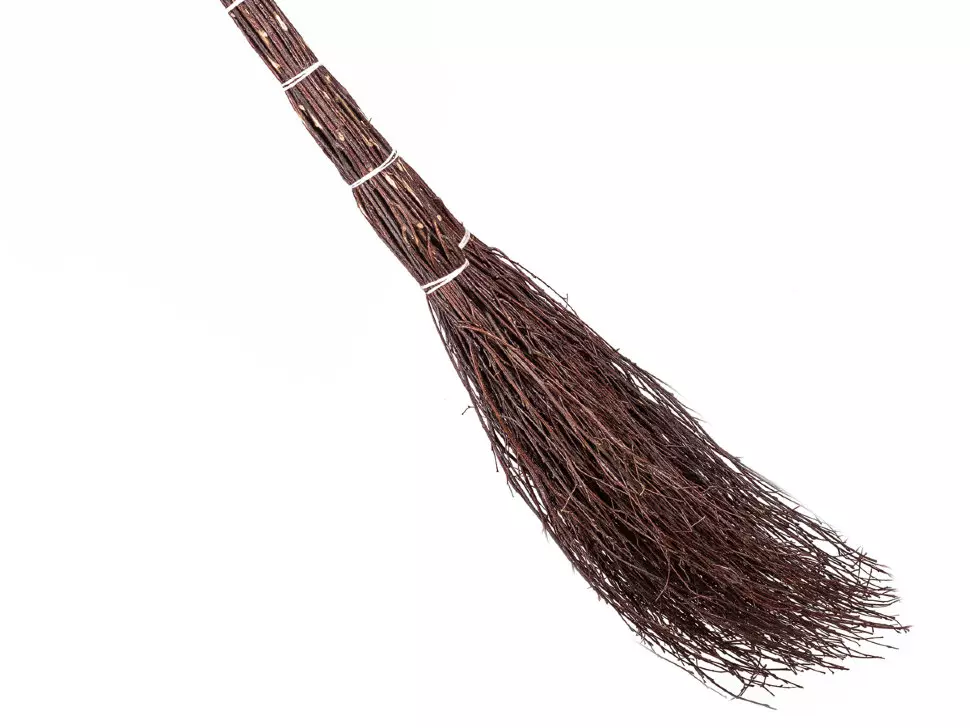 Glan broom (42 grianghraf): Cad a dhéanann broom chun urlár na háitribh a scuabadh? Cad é ainm broom deannaigh? Conas Fervent le húsáid? 21901_6