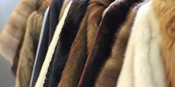 Abord: Alegeți un fier de aburi pentru călcarea hainelor și a unui cuier de podea pentru evaporarea straturilor de blănuri și a rochiei. Cum să le folosească? 21916_26