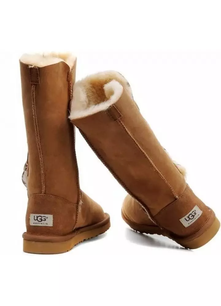 Ugg Boots (45 zdjęć): Damskie modele zimowe 2192_5
