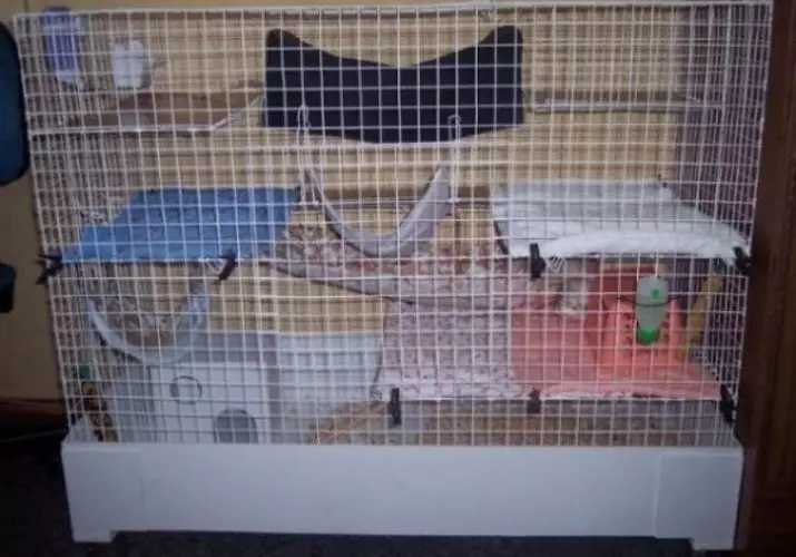Zellen für Ratten mit eigenen Händen (22 Fotos): Merkmale von hausgemachten Wohnungen. Wie erstellt man sie von gesunden Materialien zu Hause? 21961_16