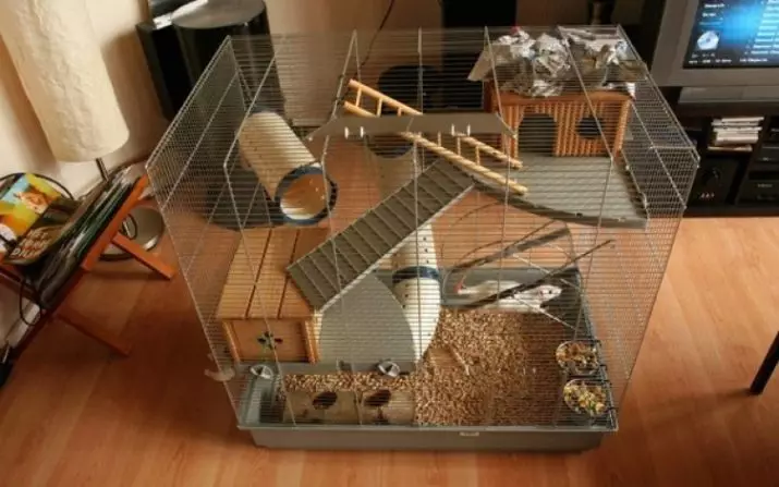 Stanice za štakore vlastitim rukama (22 fotografije): Značajke domaćih stanova. Kako ih stvoriti od zdravih materijala kod kuće? 21961_4