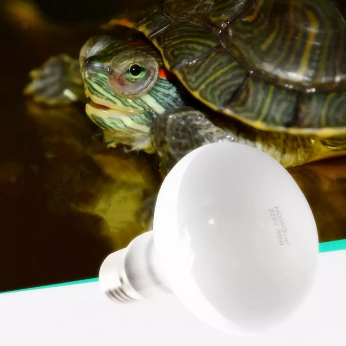 Ультрафиолетовые лампы для красноухих черепах. УФ лампа для черепах красноухих. Ультрафиолетовая лампа для красноухой черепахи. Лампы для черепах красноухих heating. Инфракрасная лампа для черепахи красноухой.