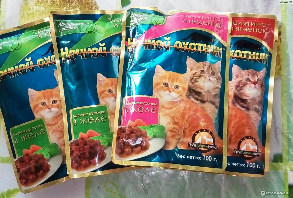 Կատուների կերակրումը «Գիշերային որսորդ». Կազմը: Սնունդ kittens եւ ստերիլիզացված կատուների, չոր եւ խոնավ կուտակային սննդի արտադրողի համար: Վերանայման ակնարկներ 22008_24