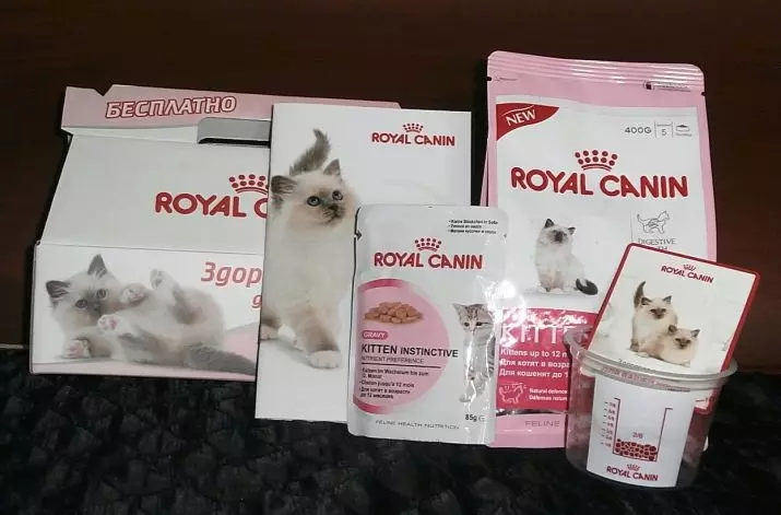 cunto qalalan Kittens Royal Canin: Halabuurka carabiyo ilaa 12 bilood, feed for kittens jeermis dilay. waxaa iyaga aan ursan doono? qiyaasta 22012_4