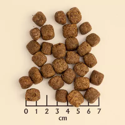 Aliments per a gossos Wolfsblut: per a cadells i gossos adults, la composició dels aliments secs per a gossos amb un llop en l'envàs. Feed per a gossos de races grans petites, mitjanes i grans. Referentacions 22014_32