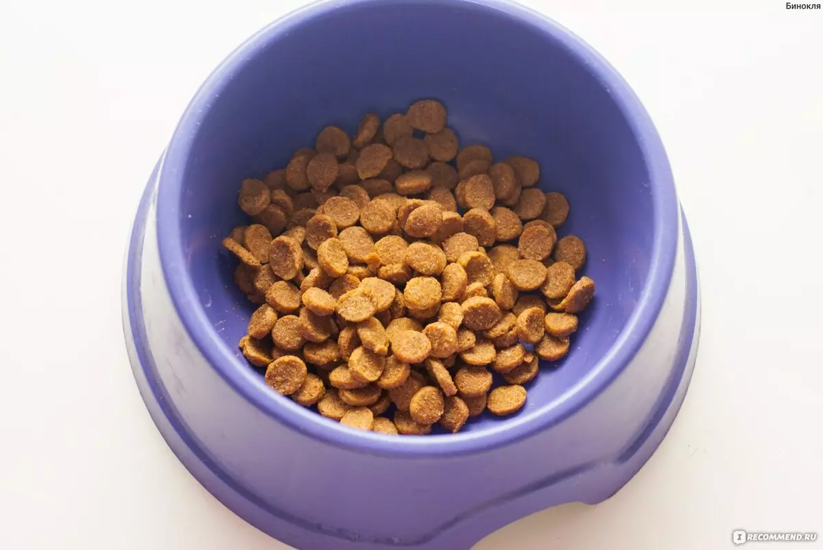 Monge za sterilizirane mačke: suha krma Cat sterilizira 10 kg in njihova sestava, pajki za kastrirane mačke. Hranite se z govejim in postrvi, raca in piščanca. Ocene 22016_10