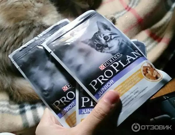 စိုစွတ်သော Purina Pro အစီအစဉ်များအတွက် Kittens အတွက်အစီအစဉ် - Patestones ၏ဖွဲ့စည်းမှု။ Pugi နှင့် Canned Junior, သူတို့၏သုံးသပ်ချက် 22017_4