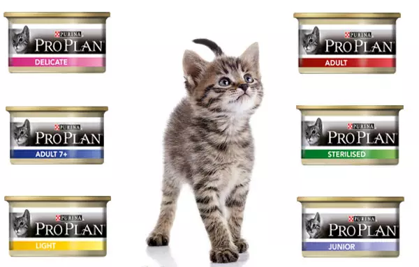Alimentación húmida Purina Pro Plan para gatitos: a composición de Patestones. Pugi e enlatados junior, a súa revisión 22017_5
