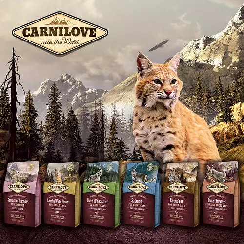 Carnilove Feed Cat: Για γατάκια, αποστειρωμένες γάτες και στειρωμένες γάτες, ξηρό και υγρό φαγητό, σύνθεση τους. Σχόλια 22020_2