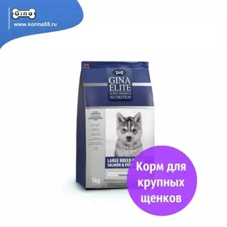 Gina Feed. Կատուների եւ շների համար չոր վերնախավ եւ այլ ապրանքներ: Կիտենների եւ մեծահասակների կատուների համար սննդի կազմը, կատվի համար ստերիլիզացված կենդանիների համար 22022_30