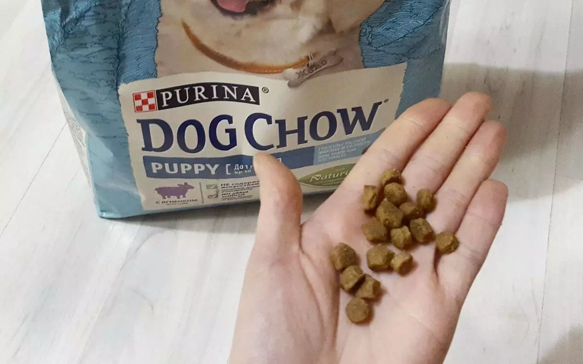 Nourriture pour chiens Purina Dog Chow: adulte et chiot 14 kg, adulte sensibles au saumon et leur composition, d'autres aliments pour chiens pour les chiens adultes et chiots, commentaires 22031_6