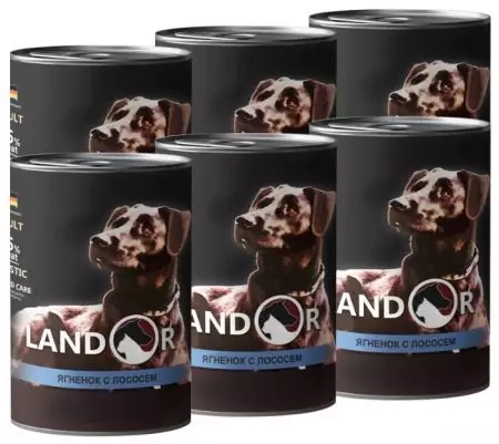 Alimente pentru câini Landor: Pentru rasele mici, mari și medii, pentru cățeluși. Alimente uscate și umede, compoziția lor. Care este mâncarea gratuită mai bună decât altele? Recenzii 22032_12