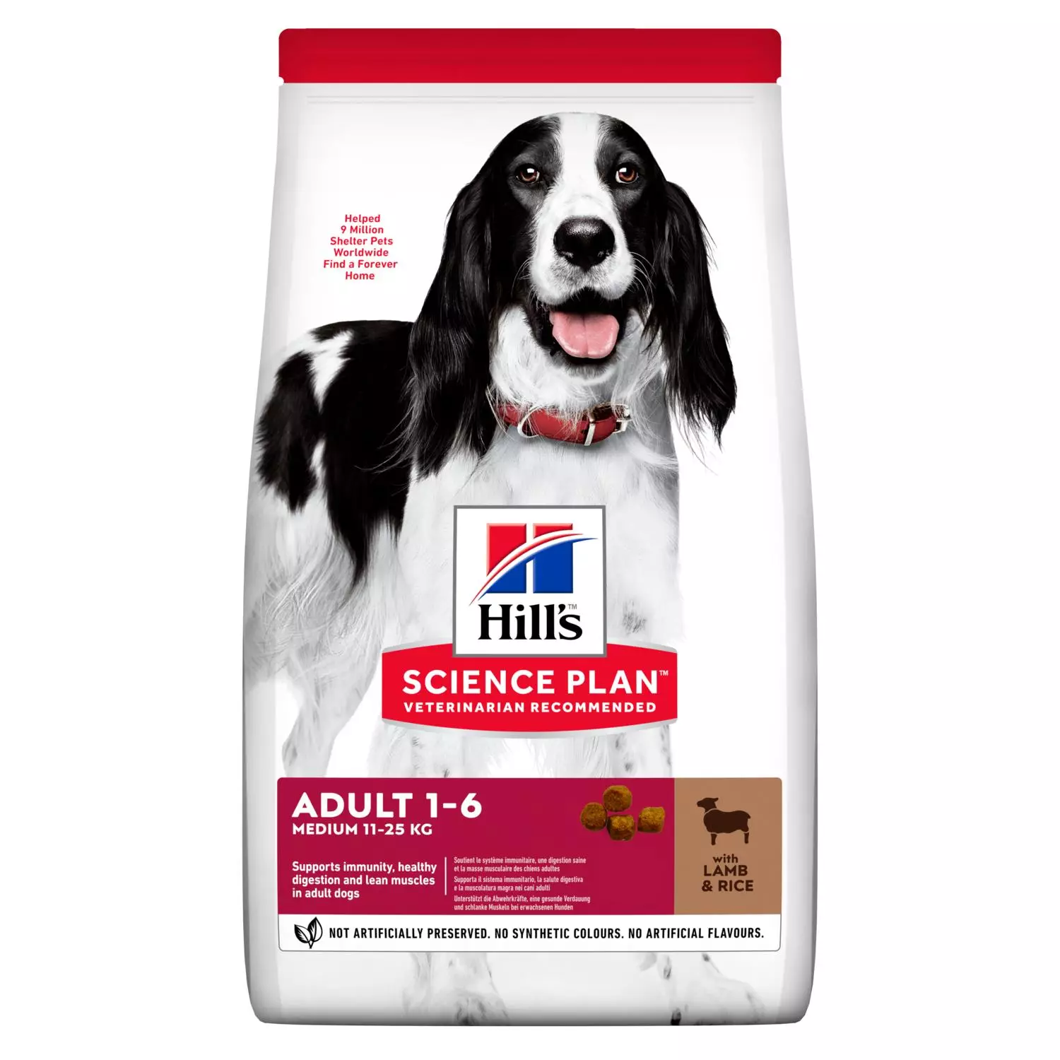 Alimentació de Hill: la composició de pinsos secs i humits. Són millors canin reial? País del fabricant. Aliments per a grans races de gossos amb xai i altres, revisions 22036_18