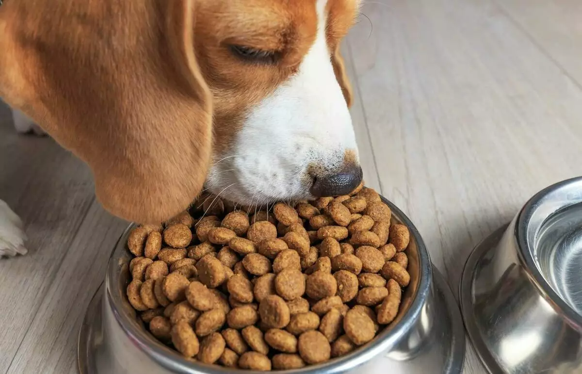 aliments secs per a gossos Farmina: N & D i altres aliments de classe clástico, la seva composició. Productes per a gossos adults i cadells, opinions 22043_13