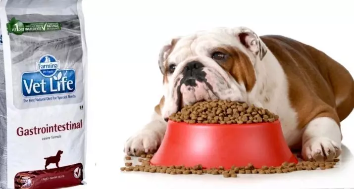 aliments secs per a gossos Farmina: N & D i altres aliments de classe clástico, la seva composició. Productes per a gossos adults i cadells, opinions 22043_2