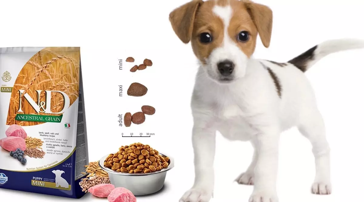aliments secs per a gossos Farmina: N & D i altres aliments de classe clástico, la seva composició. Productes per a gossos adults i cadells, opinions 22043_7
