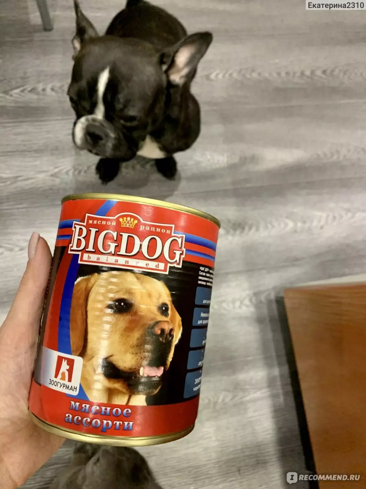 Jídlo pro psy 