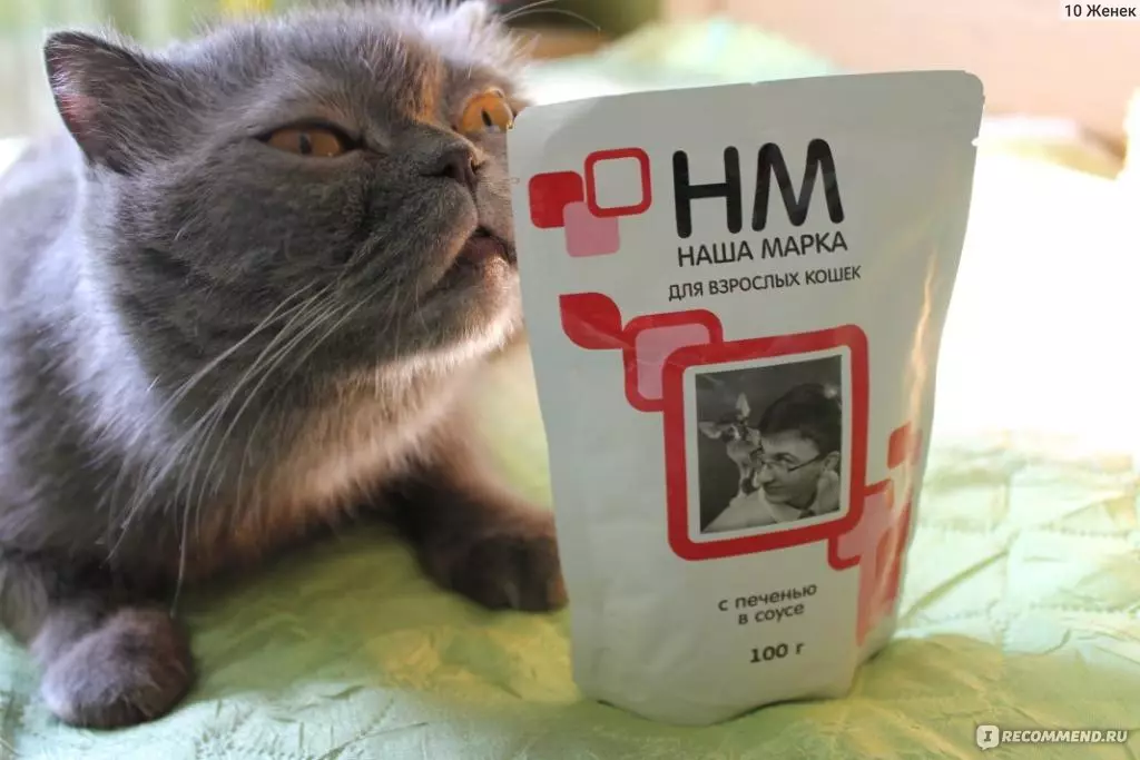 Котешка храна 