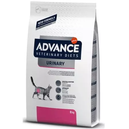 Advance Cat Feed: Ариутгасан муур, зулзага, хулд, Турк, Турк, Турк, бусад тэжээл, ашиглах заавар. Тойм 22062_23