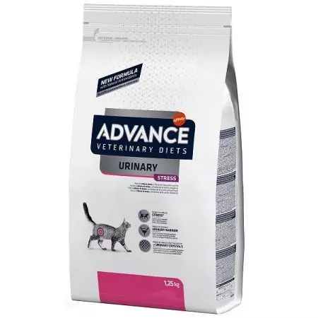 Advance Cat Feed: За стерилизирани мачки и за мачиња, лосос и Турција, други добиточна храна и упатства за нивна употреба. Осврти 22062_24