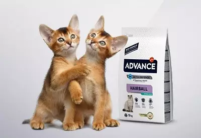 Advance Cat Feed: Për macet sterilizuar dhe për kotele, salmon dhe Turqi, ushqime të tjera dhe udhëzime për përdorimin e tyre. Shqyrtime 22062_33