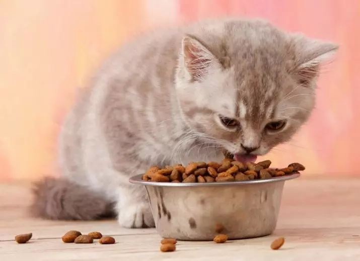 PURINA kittens feed: dry and wet, pies and liquid food in jelly, their composition. Food with turkey and other products 22065_2