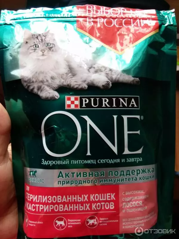 PURINA kittens feed: dry and wet, pies and liquid food in jelly, their composition. Food with turkey and other products 22065_26