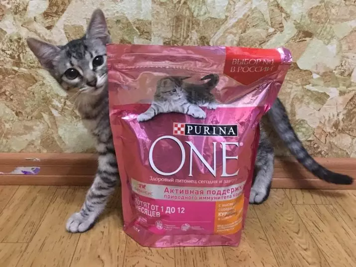PURINA kittens feed: dry and wet, pies and liquid food in jelly, their composition. Food with turkey and other products 22065_6