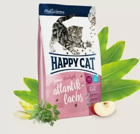 Feed do gato do gato feliz: a composição do alimento molhado e seco para gatinhos e gatos esterilizados, alimento para gatos castrados. Avaliações 22070_20