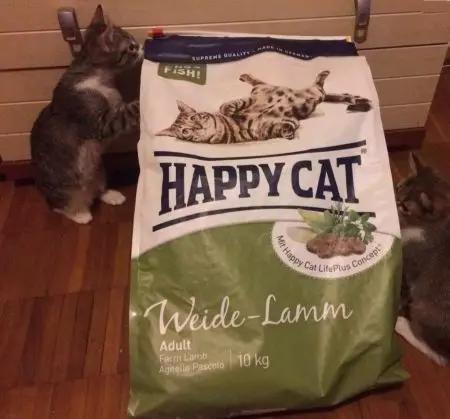 Feed do gato do gato feliz: a composição do alimento molhado e seco para gatinhos e gatos esterilizados, alimento para gatos castrados. Avaliações 22070_32