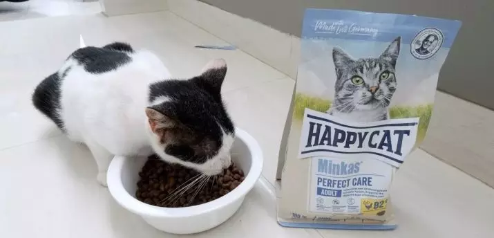 Feed do gato do gato feliz: a composição do alimento molhado e seco para gatinhos e gatos esterilizados, alimento para gatos castrados. Avaliações 22070_6