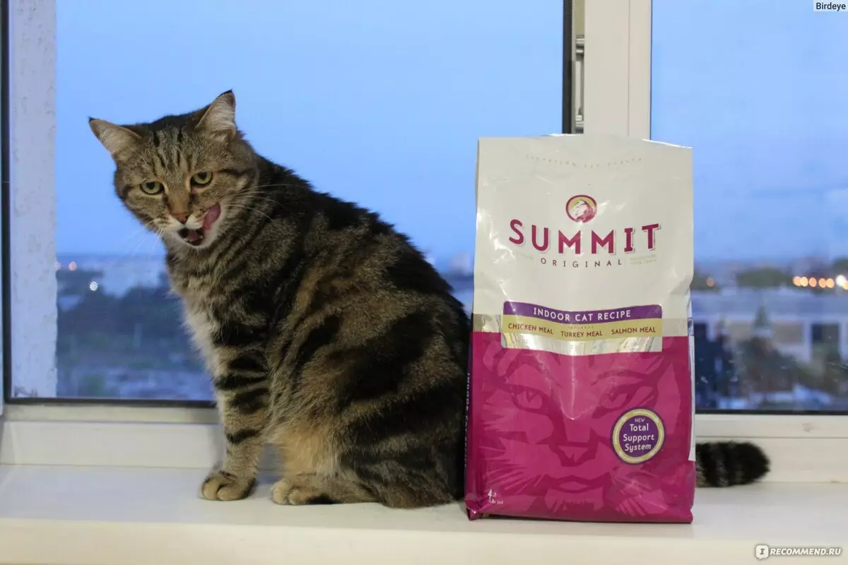 Alimentación del gato Cumbre: Composición y visión general de alimento seco para los gatitos y gatos adultos esterilizados, comentarios 22071_13