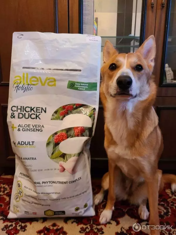 Makanan untuk anjing Alleva: Holistik untuk anak anjing dan makanan kering lain, komposisi dan kajian mereka. Kelebihan dan kekurangan. Ulasan 22072_17