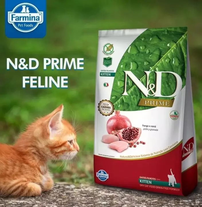 Comida seca para gatos Farmina: N & D Feed Resumo con un cordeiro e arándanos e outros da gama de gatos e gatos adultos, comentarios 22076_3