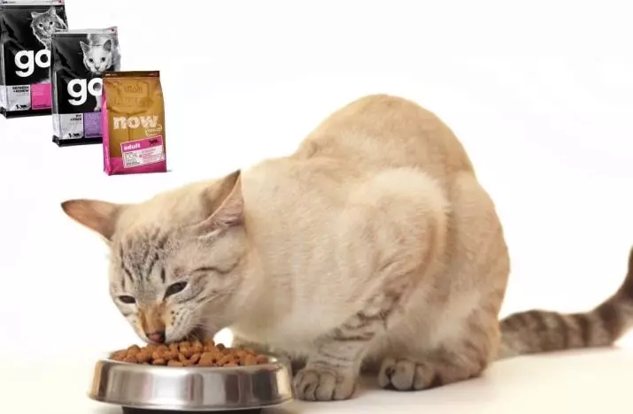 Котешка храна GO !: Състав, Храна за стерилизирани котки и други, консервирана храна и консерви, Natural Холистичният и други фуражи клас Холистичният, рецензии 22080_40