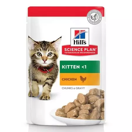 Храна за мачиња Хил е: сува, влажна и шепи. Составот на добиточната храна со пилешко и туна. Mousse Science план 1 исхрана и опис на други гасови, прегледи 22095_10