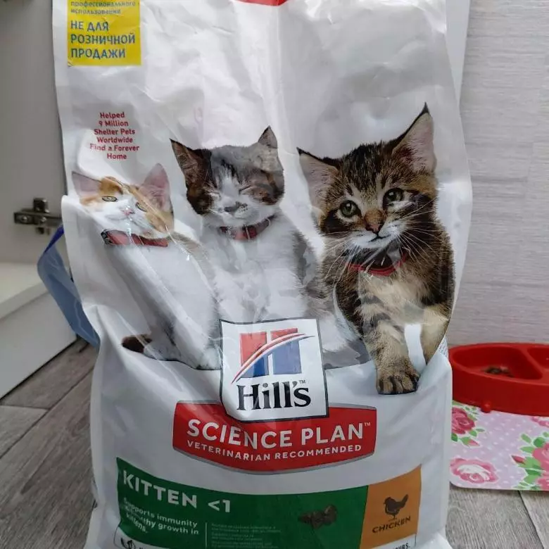 Храна за мачиња Хил е: сува, влажна и шепи. Составот на добиточната храна со пилешко и туна. Mousse Science план 1 исхрана и опис на други гасови, прегледи 22095_17