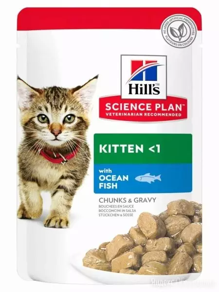 Храна за котенца Хил: суха, мокра и лапи. В състава на фуража с пиле и риба тон. Mousse Science Plan първото хранене и описание на други емисии, прегледи 22095_8