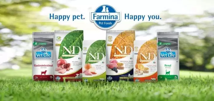 Fôr til steriliserte katter Farmina: Tørr Messenger N & D Fôr for kastrede katter og andre, normer for deres forbruk. Vurderinger. 22100_2