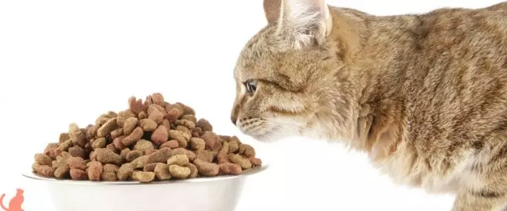 خوراک گربه های استرلیزه Farmina: مواد غذایی N & D خشک برای گربه های کاستی و دیگران، هنجارهای مصرف آنها. بررسی ها 22100_20